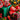 Natale