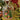 decoro albero