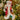 decoro albero