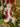 decoro albero