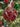 Decoro albero