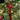 Decoro albero