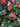 Decoro albero
