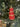 Decoro albero