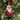 Decoro albero