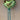 Decoro albero
